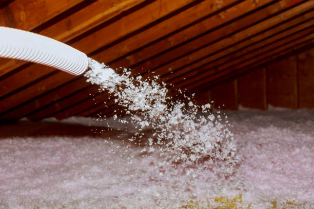 Best Residential Insulation in Tchula, MS