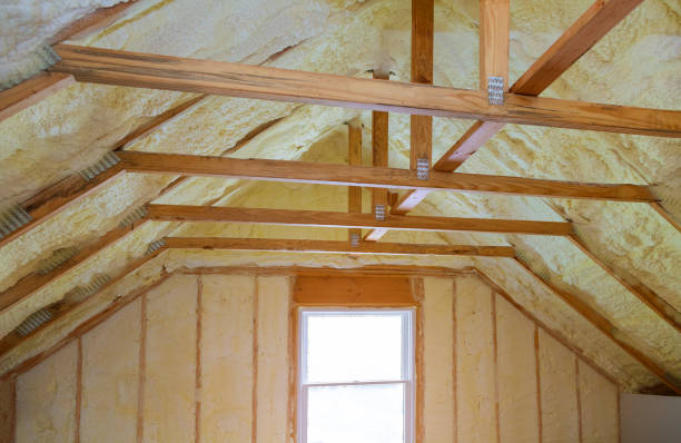 Best Insulation Installation Services in Tchula, MS