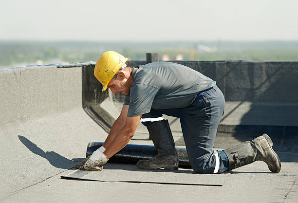 Best Insulation Maintenance and Repair in Tchula, MS