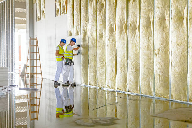 Best Insulation for Specific Applications in Tchula, MS